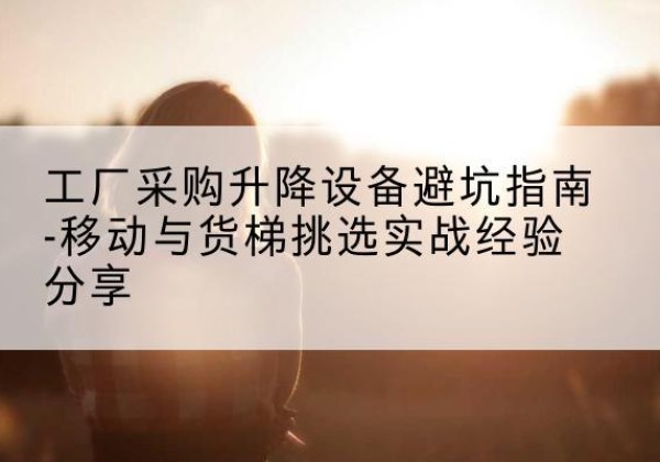 城固移动式升降机怎么选-工厂采购升降设备避坑指南-移动与货梯挑选实战经验分享