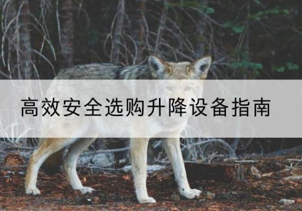 城固升降货梯厂家推荐-*安全选购升降设备指南