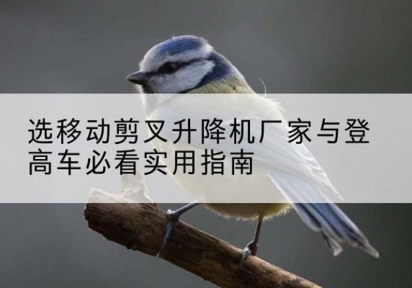 城固电动升降机厂家-选移动剪叉升降机厂家与登高车必看实用指南