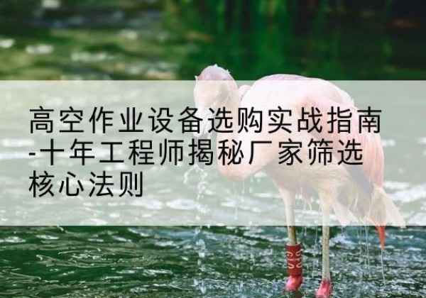 城固剪叉式升降机厂家-高空作业设备选购实战指南-十年工程师揭秘厂家筛选核心法则