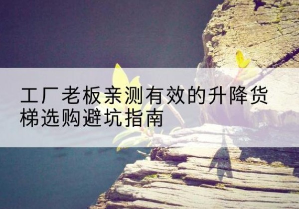 城固升降货梯怎么选-工厂老板亲测有效的升降货梯选购避坑指南